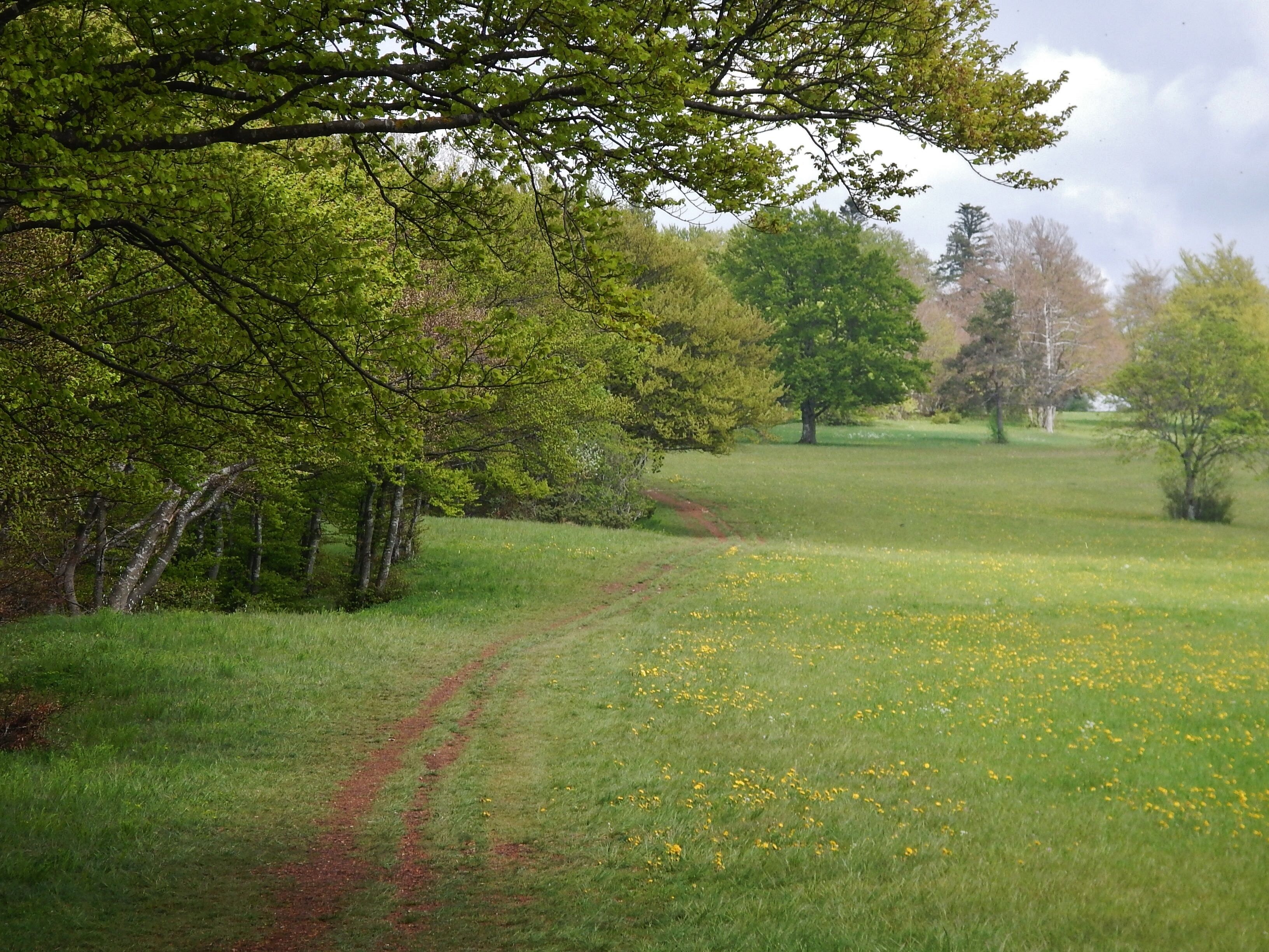 Albtraufgängerweg bei den Hülenbuchwiesen