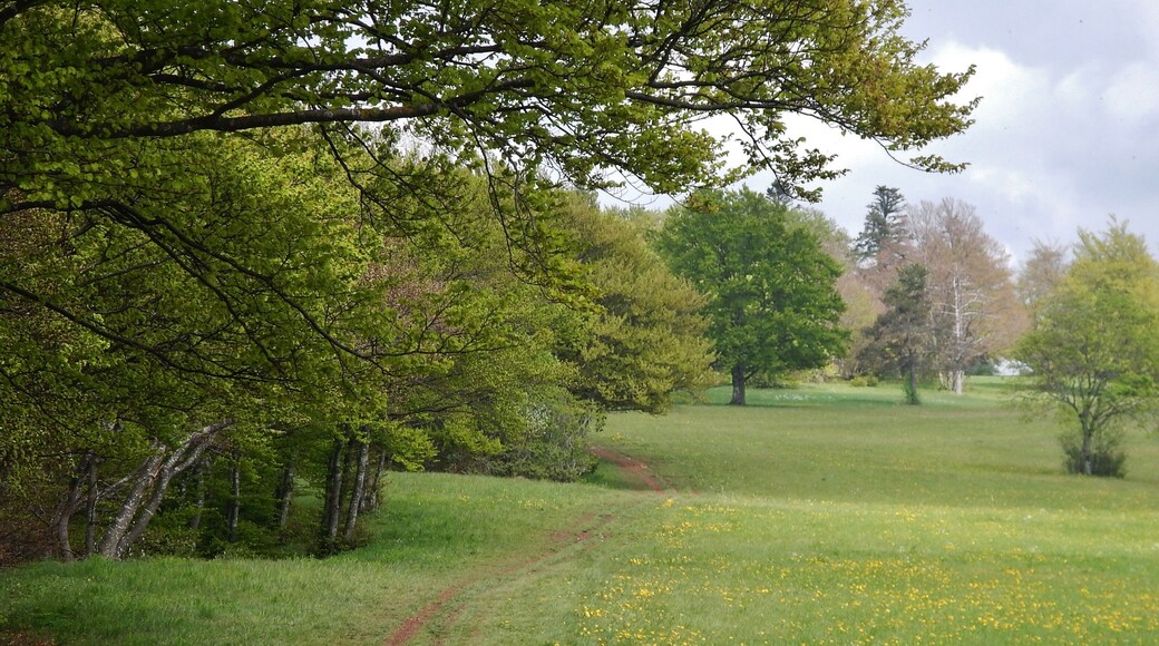 Albtraufgängerweg bei den Hülenbuchwiesen