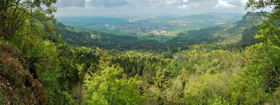 A mountainous landscape with dense forests and a distant town.