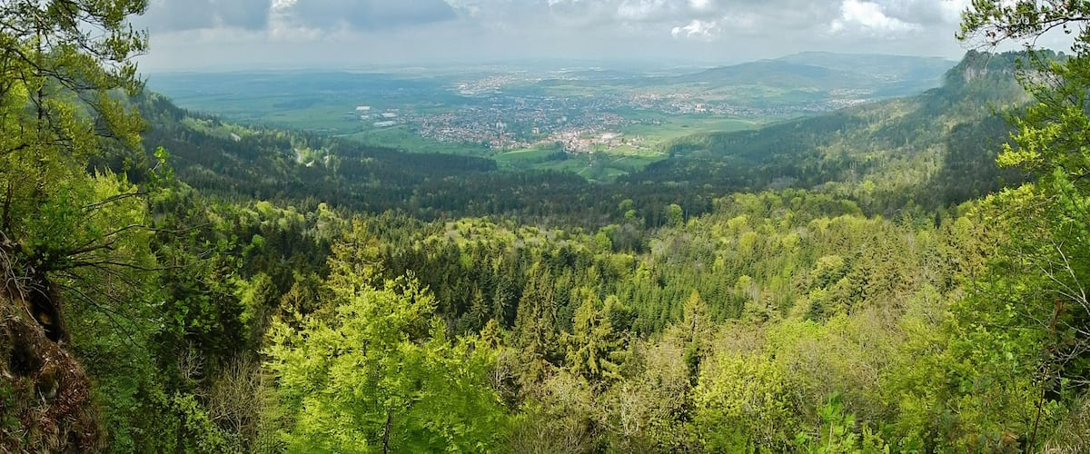 A mountainous landscape with dense forests and a distant town.