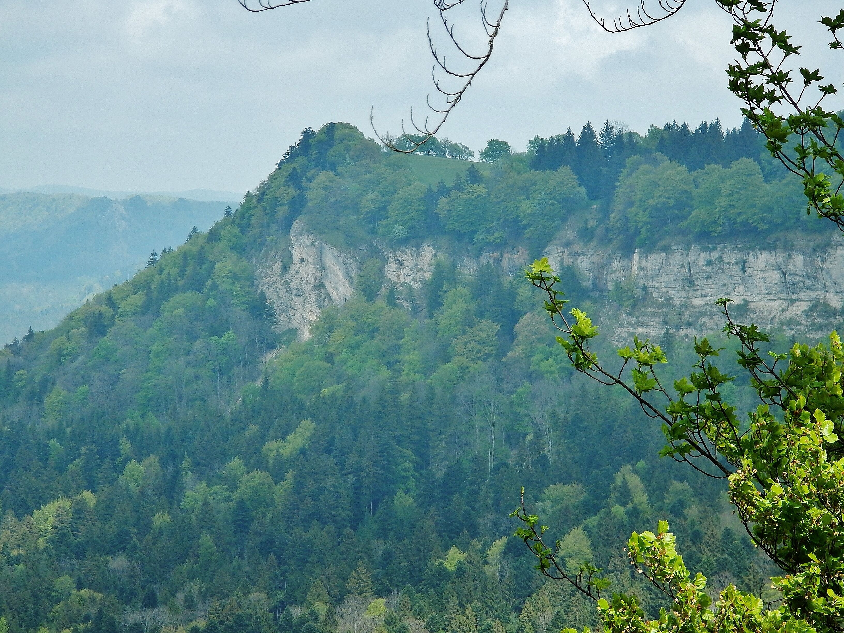 Blick zum Hörnle von der Schinderluke aus gesehen