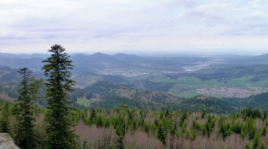 Panoramafoto vom Teufelsmühle-Turm mit Blick nach Nordwesten auf Loffenau und das Murgtal