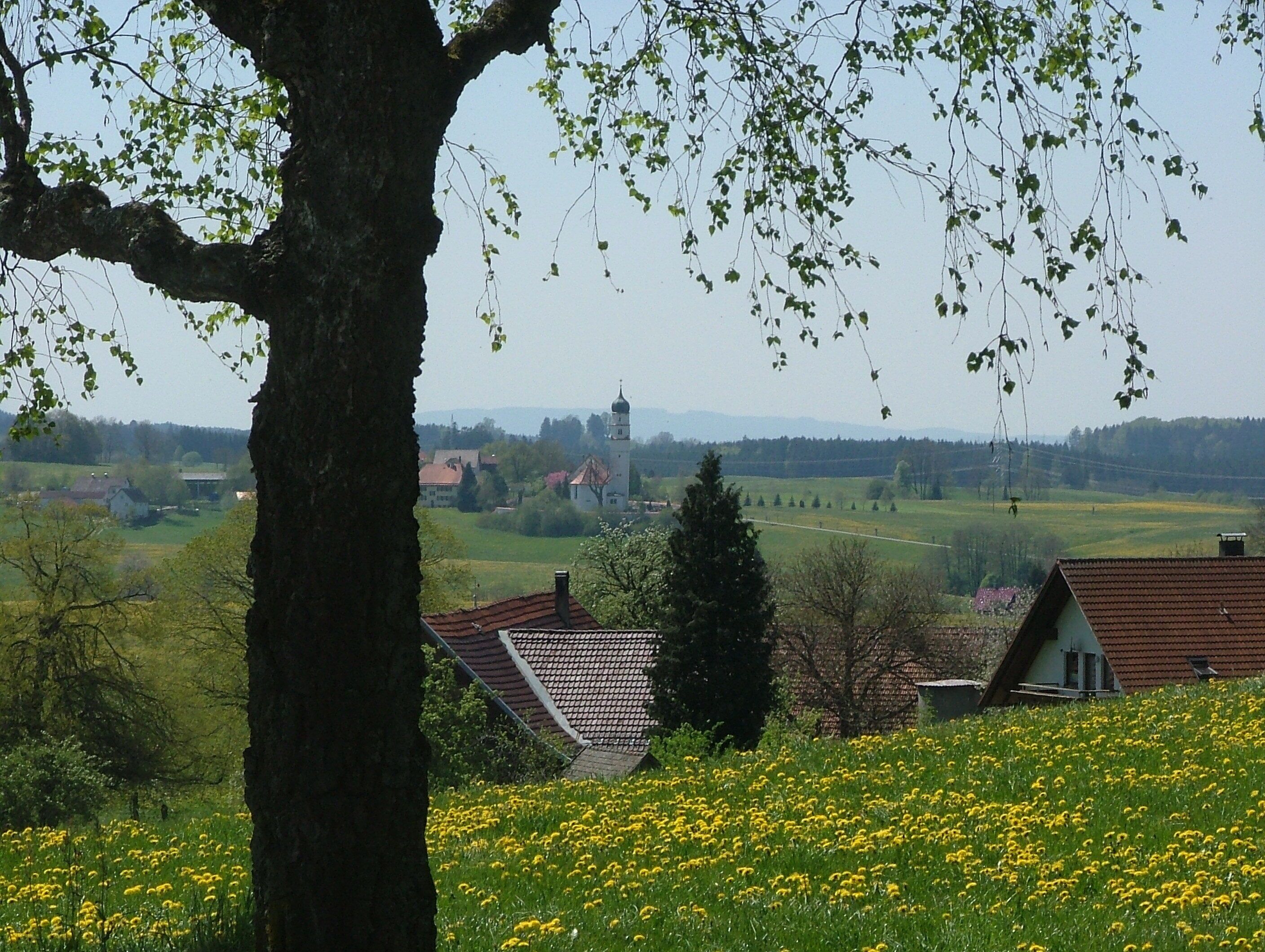 Blick auf Eintürnenberg