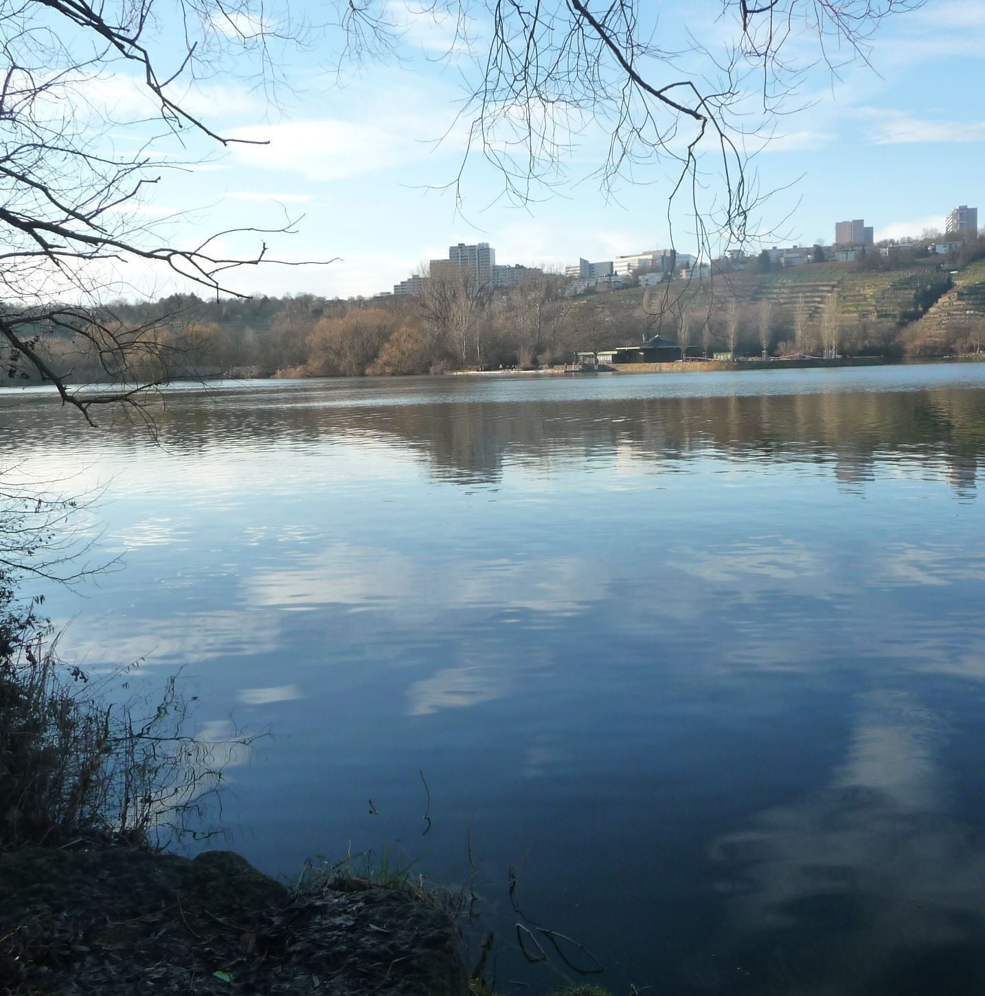 Neckar beim Max-Eyth-See