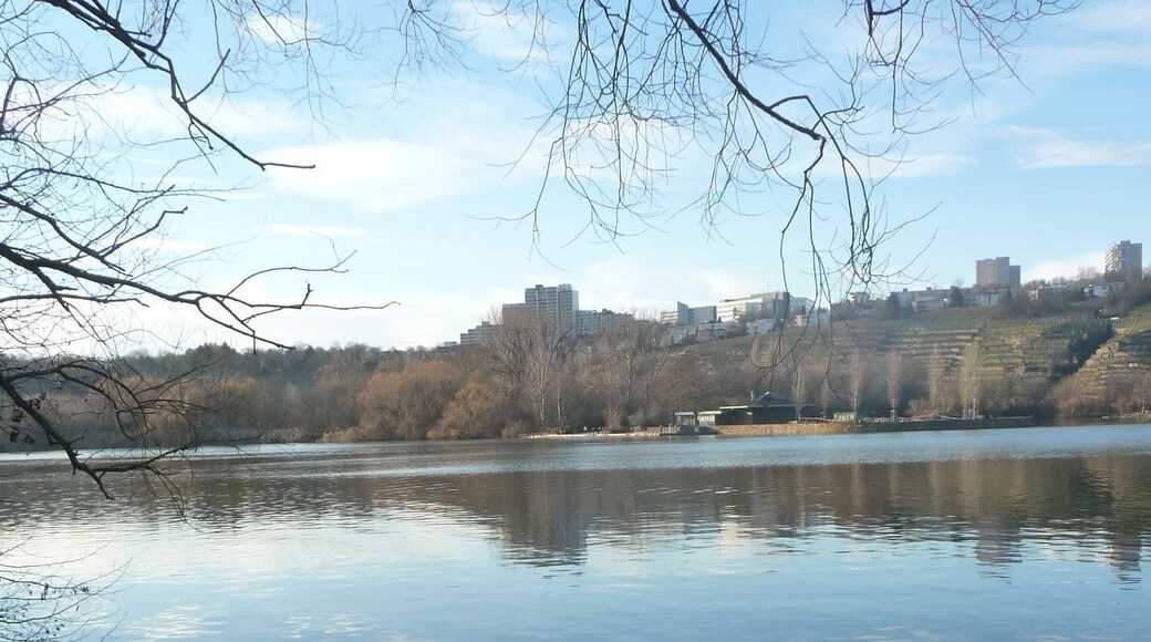 Neckar beim Max-Eyth-See