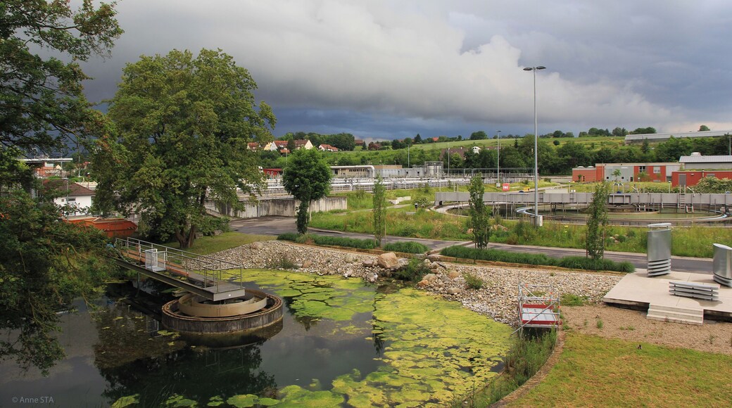 Regnerischer Tag am Hauptklärwerk in Stuttgart-Mühlhausen