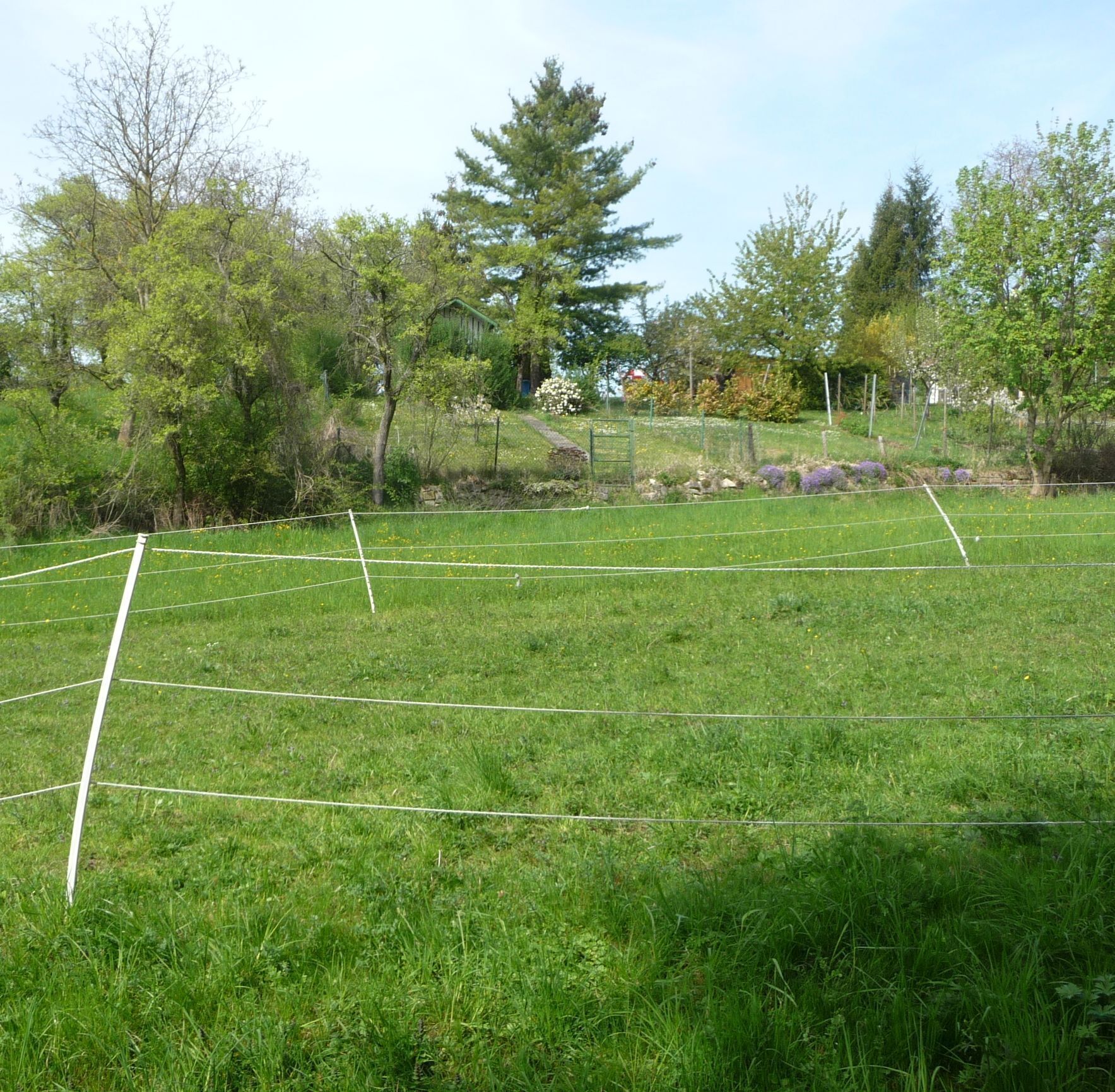 Wiesen bei Neugereut