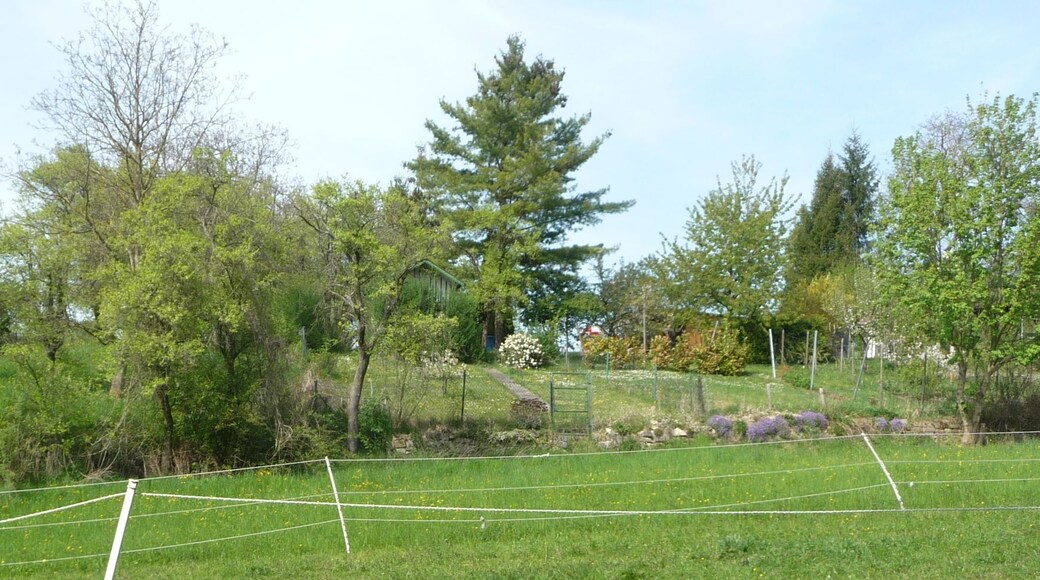 Wiesen bei Neugereut