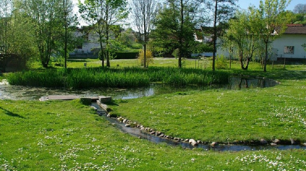 Tairnbach, Mühlhausen, Germany