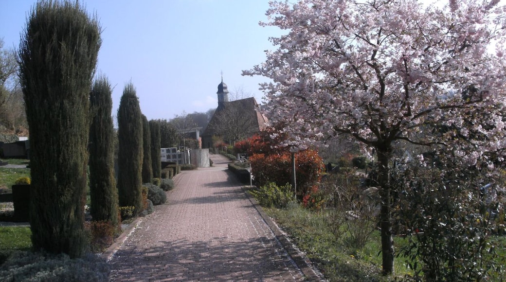 Tairnbach, Mühlhausen, Germany