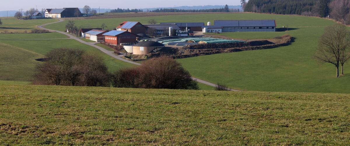 A rural landscape with green fields, a winding road, and several farm buildings.