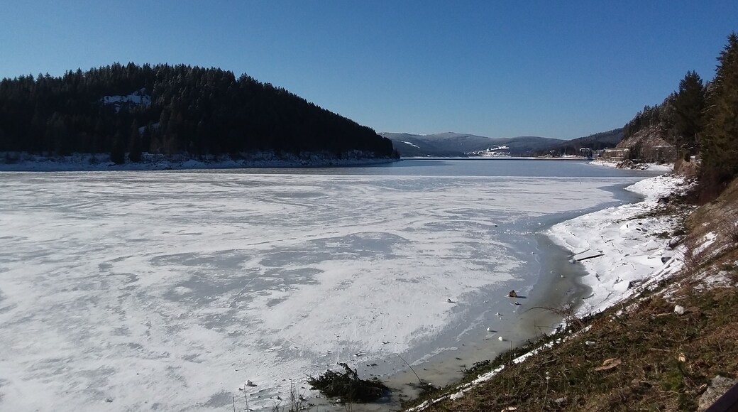 Uusbligg vom Bhf. Seebrugg ubber dè voeiste Schluchsee. Im Vordergrund dè Oschtzipfel vom See, ganz hinnè Ahamer Haaldè mit èm Kapèllèchopf drübber.