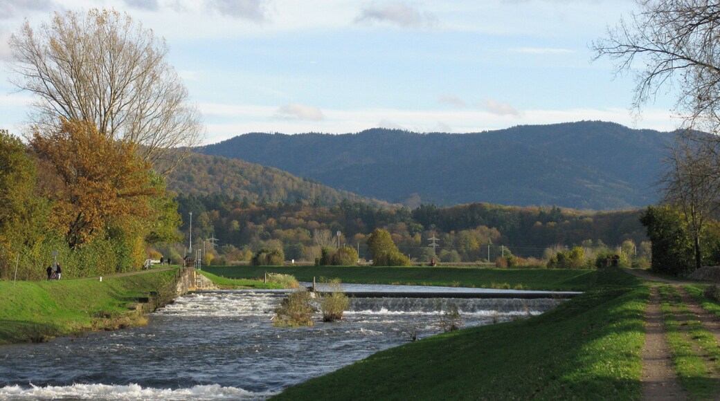 Kollmarsreuter Wehr der Elz, von wo der Mühlbach durch Emmendingen geleitet wird