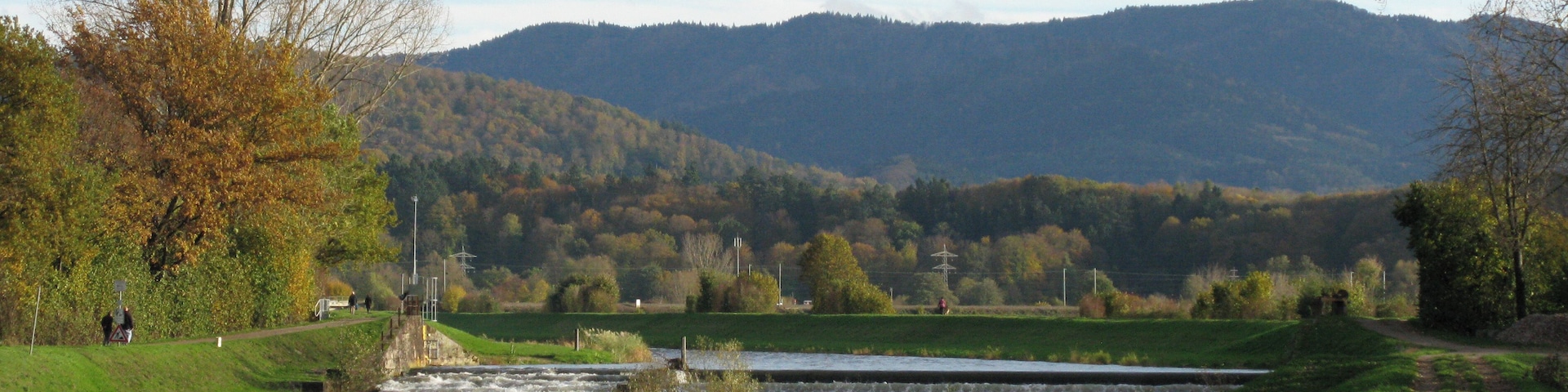 Kollmarsreuter Wehr der Elz, von wo der Mühlbach durch Emmendingen geleitet wird