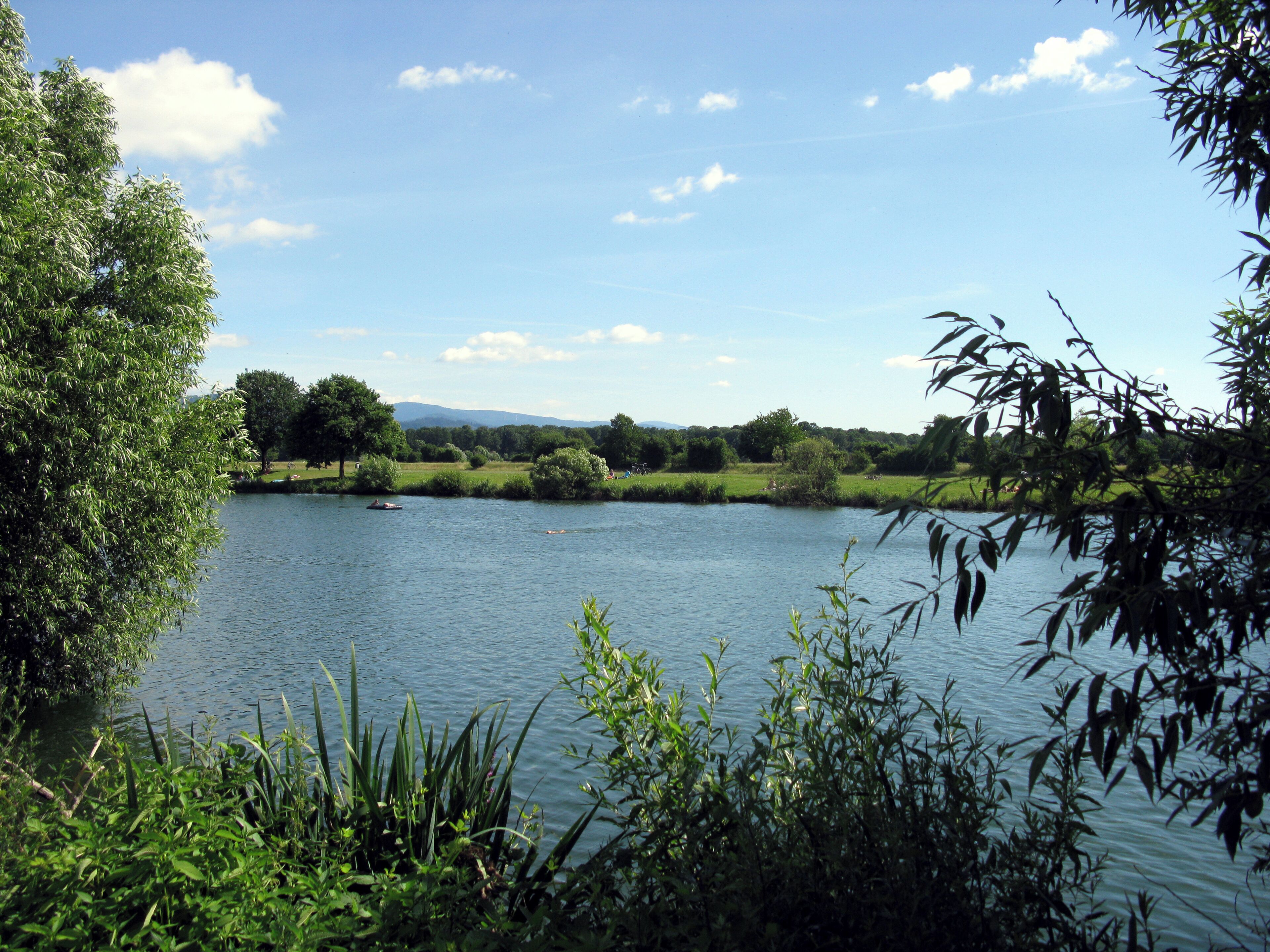 A calm lake surrounded by lush greenery and trees.