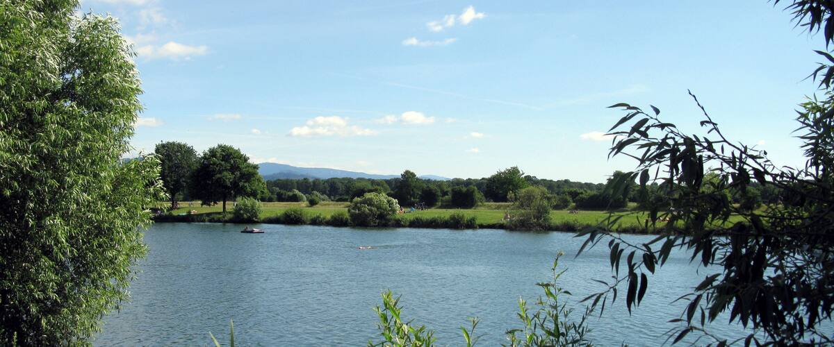A calm lake surrounded by lush greenery and trees.