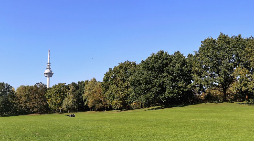 Luisenpark in Mannheim, im Hintergrund der Fernmeldeturm
(Luisenpark in Mannheim, in the Background the communication Tower)