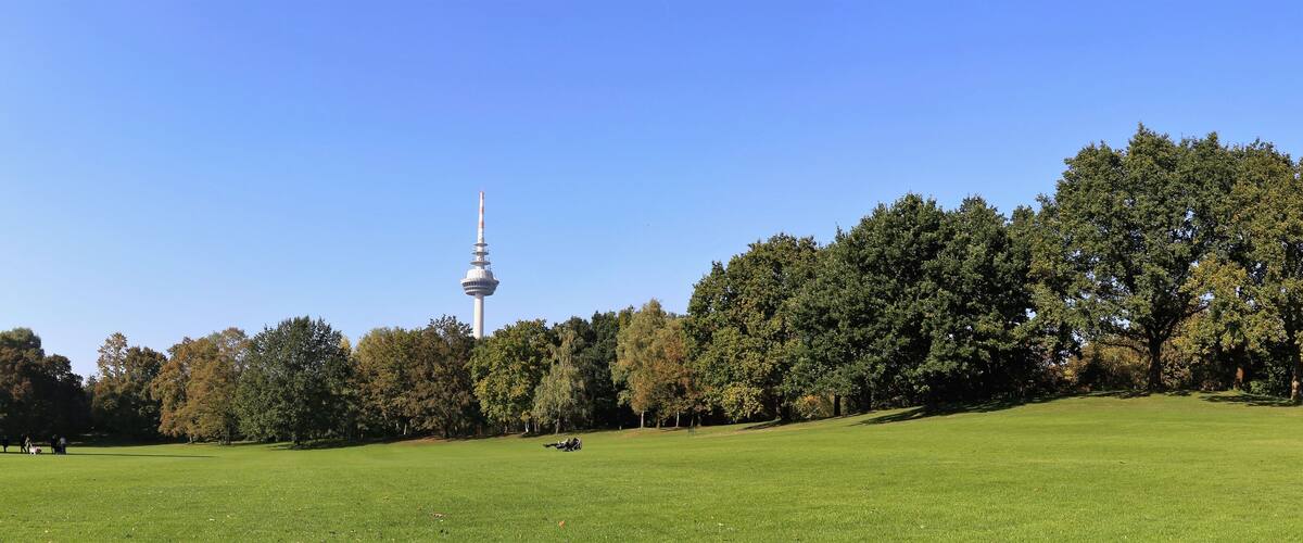 Luisenpark in Mannheim, im Hintergrund der Fernmeldeturm
(Luisenpark in Mannheim, in the Background the communication Tower)