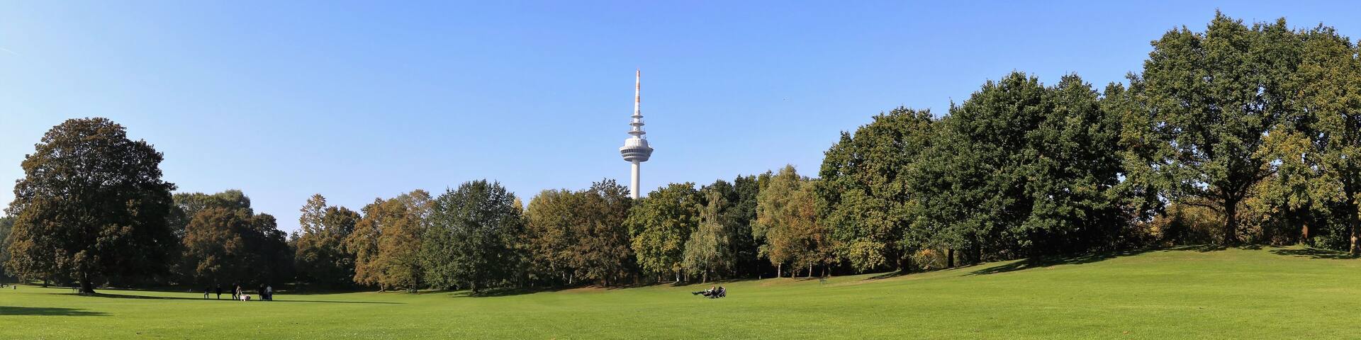 Luisenpark in Mannheim, im Hintergrund der Fernmeldeturm
(Luisenpark in Mannheim, in the Background the communication Tower)