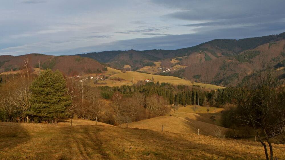 A hilly landscape with scattered houses, evergreen trees, and a cloudy sky.