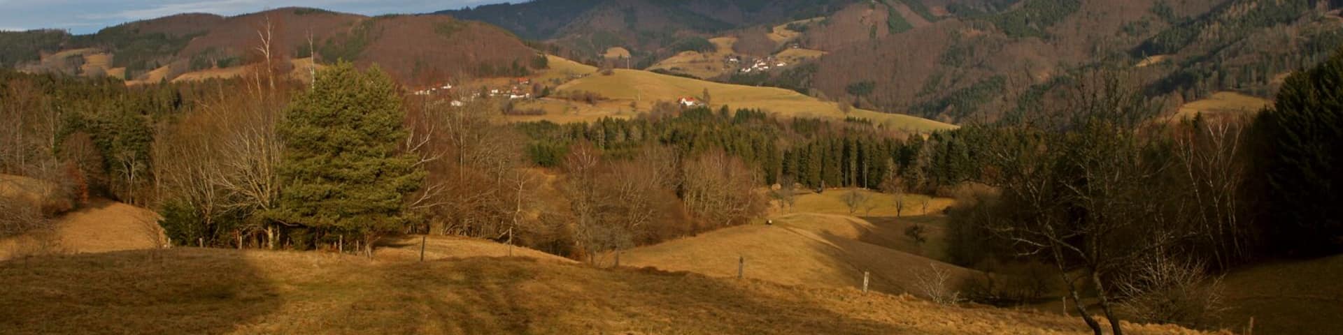 A hilly landscape with scattered houses, evergreen trees, and a cloudy sky.