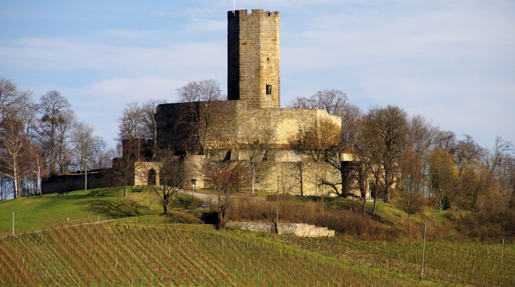 Weiler, Burg Steinsberg 11/2010