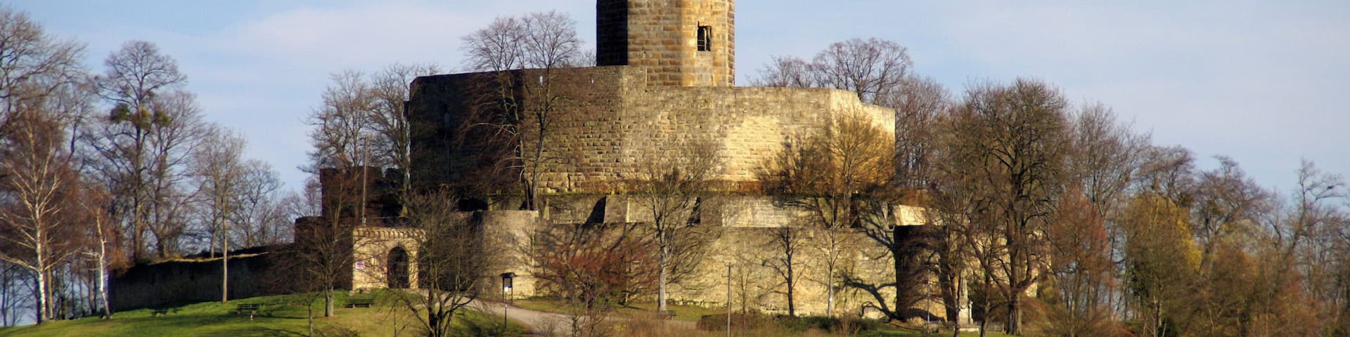 Weiler, Burg Steinsberg 11/2010