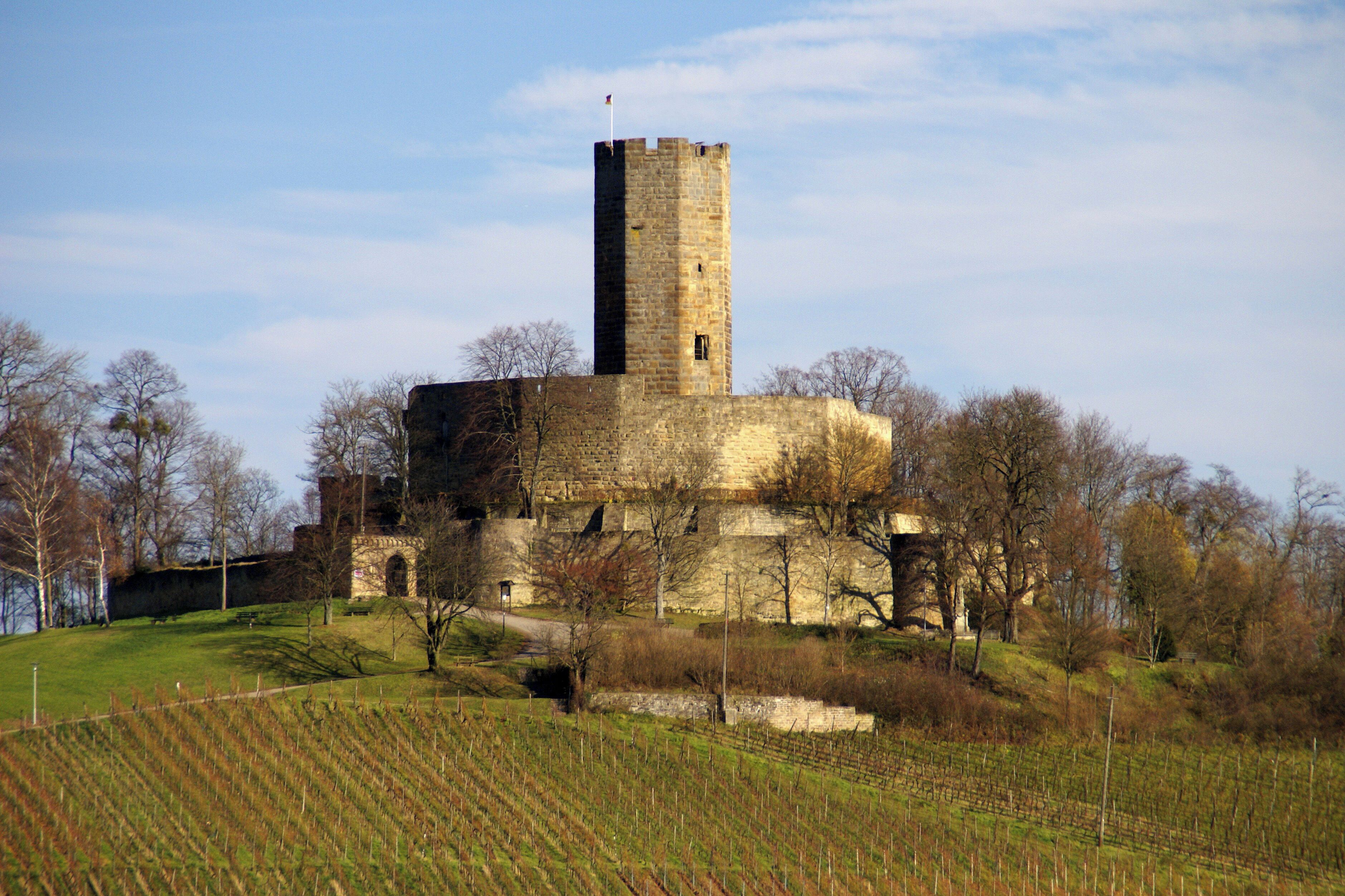 A historic stone castle with a tall tower, surrounded by a hilly landscape and vineyards.