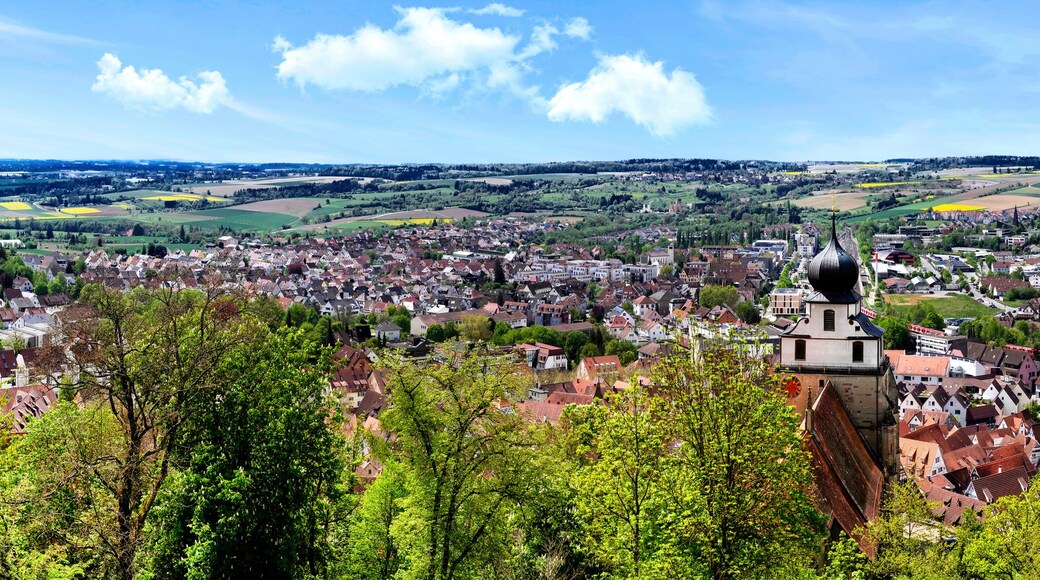Kuppingen