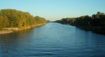 Donau vom Radweg
