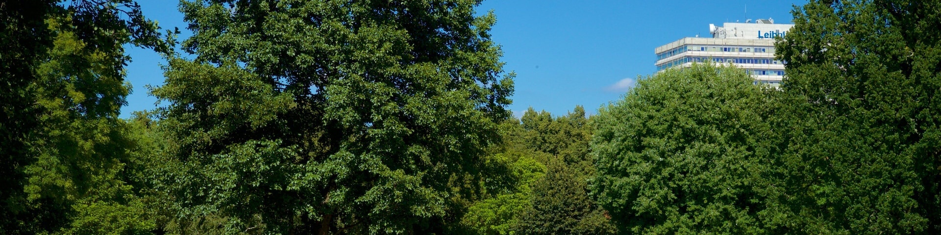 North featuring a garden