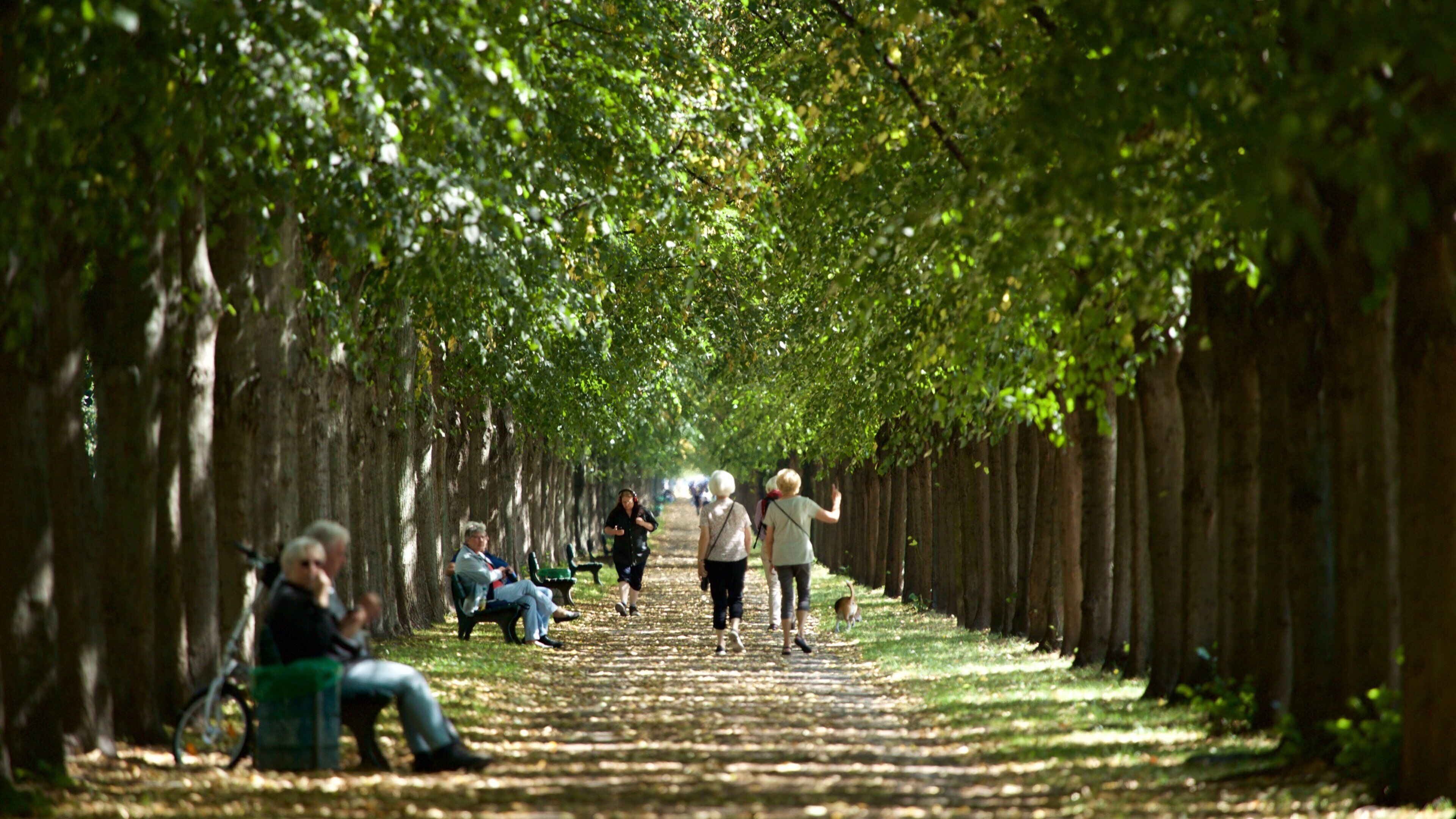 North which includes a park