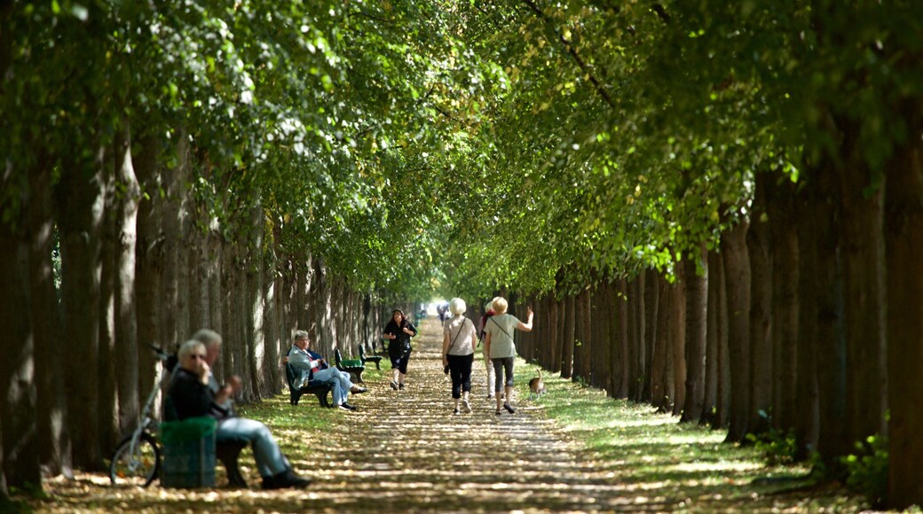 North which includes a park