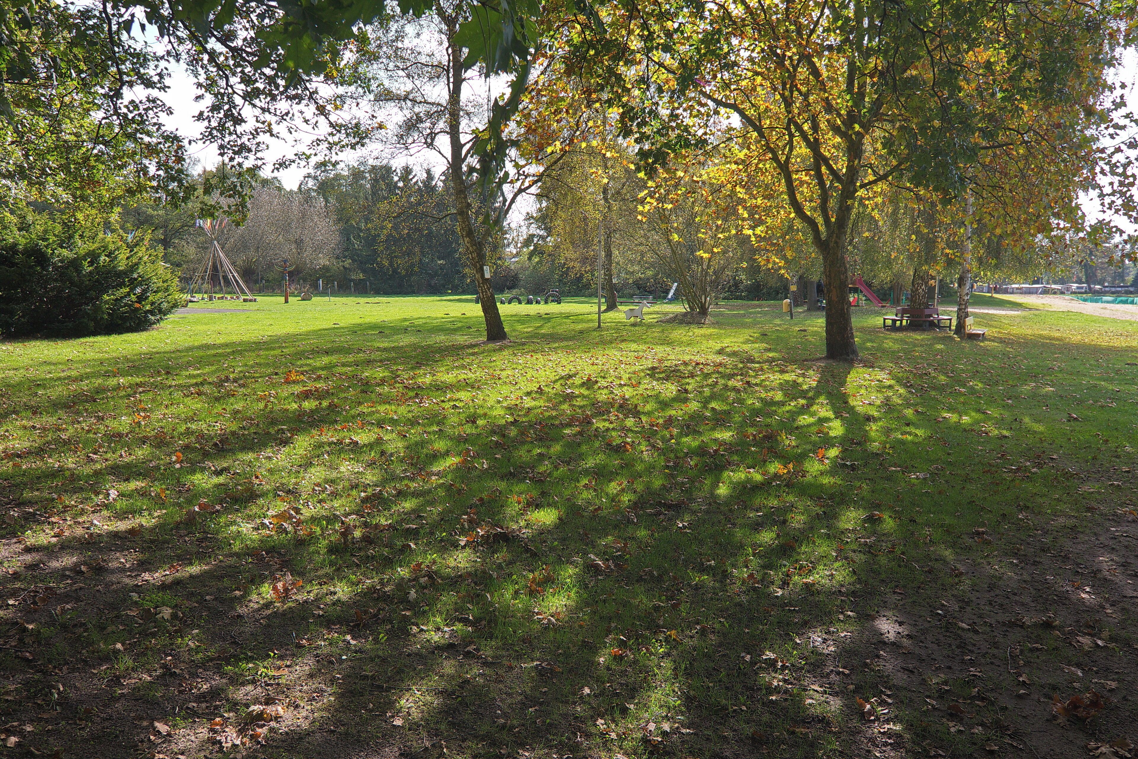Natelsheidesee in Bissendorf-Wietze (Wedemark), Niedersachsen, Deutschland