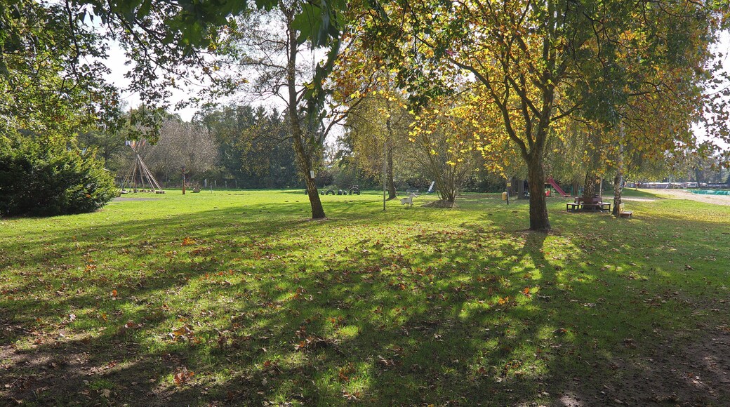 Natelsheidesee in Bissendorf-Wietze (Wedemark), Niedersachsen, Deutschland