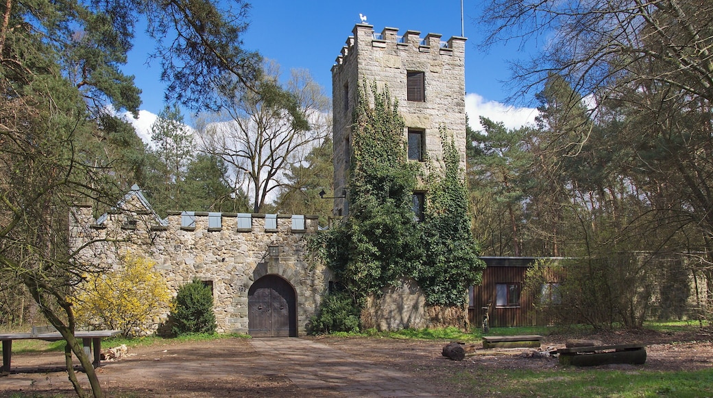 Die Eichenkreuzburg von 1928 ist eine Jugendburg mit hohen Wehrturm in Bissendorf-Wietze (Wedemark), Niedersachsen, Deutschland.