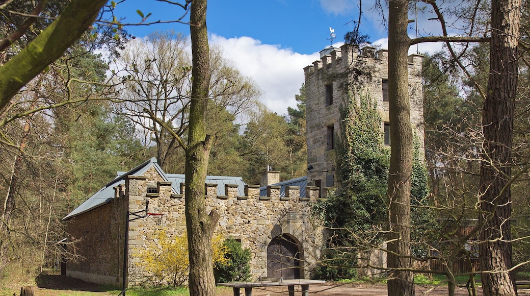 Die Eichenkreuzburg von 1928 ist eine Jugendburg mit hohen Wehrturm in Bissendorf-Wietze (Wedemark), Niedersachsen, Deutschland.