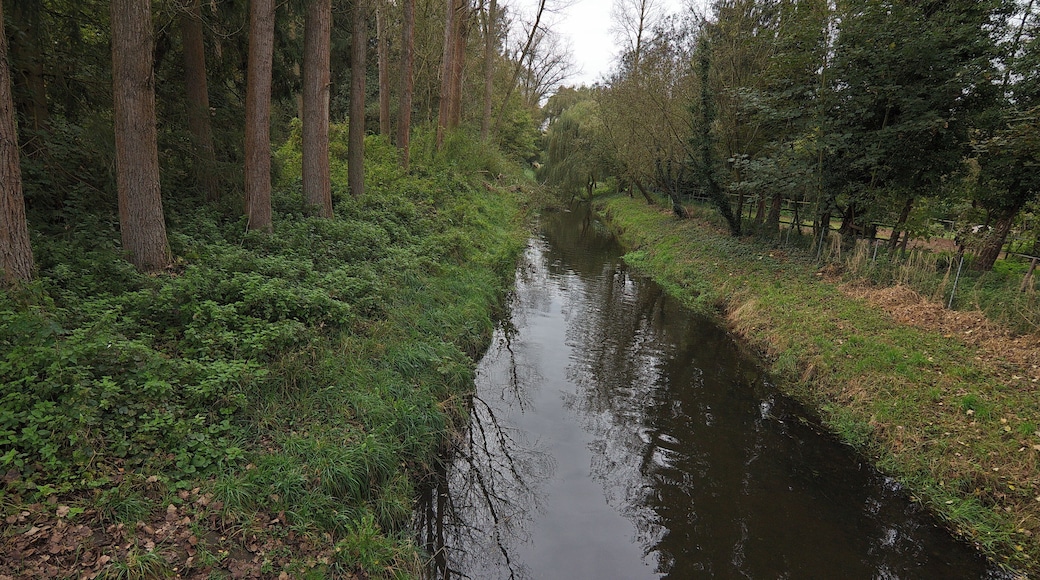 Der Fluss Wietze in Bissendorf-Wietze (Wedemark), Niedersachsen, Deutschland