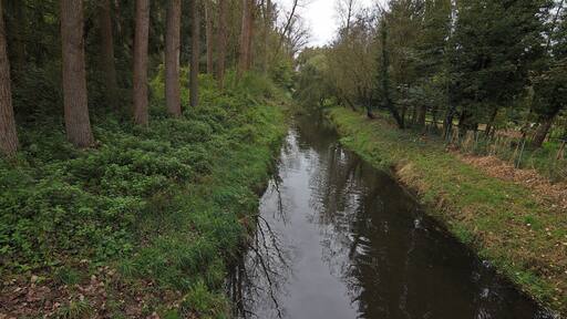 Der Fluss Wietze in Bissendorf-Wietze (Wedemark), Niedersachsen, Deutschland