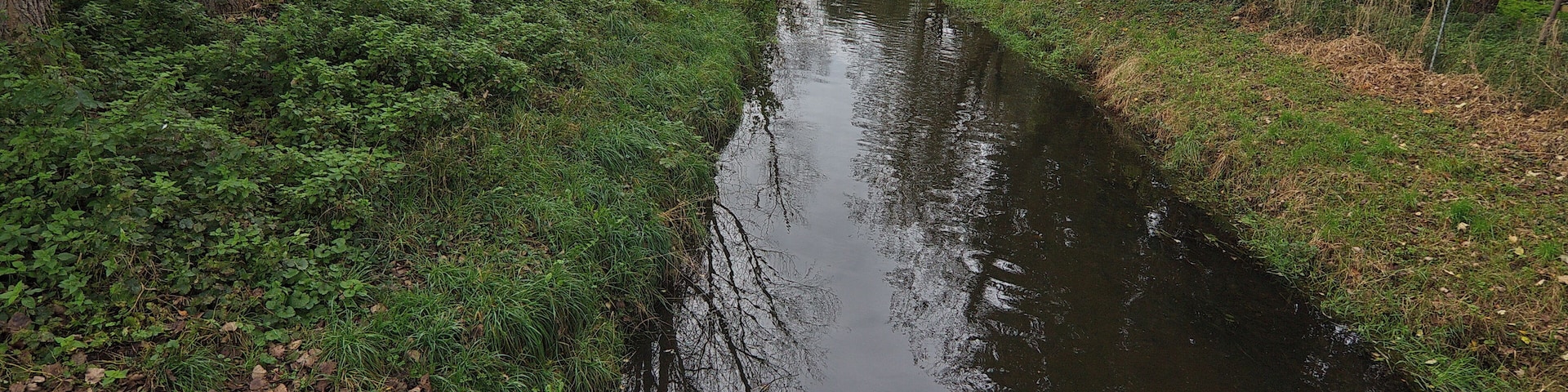 Der Fluss Wietze in Bissendorf-Wietze (Wedemark), Niedersachsen, Deutschland