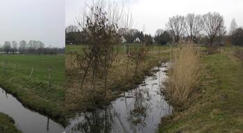 Laher Graben vor und nach der Naturalisierung