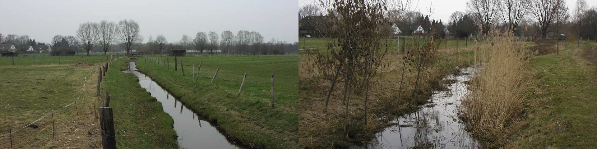 Laher Graben vor und nach der Naturalisierung