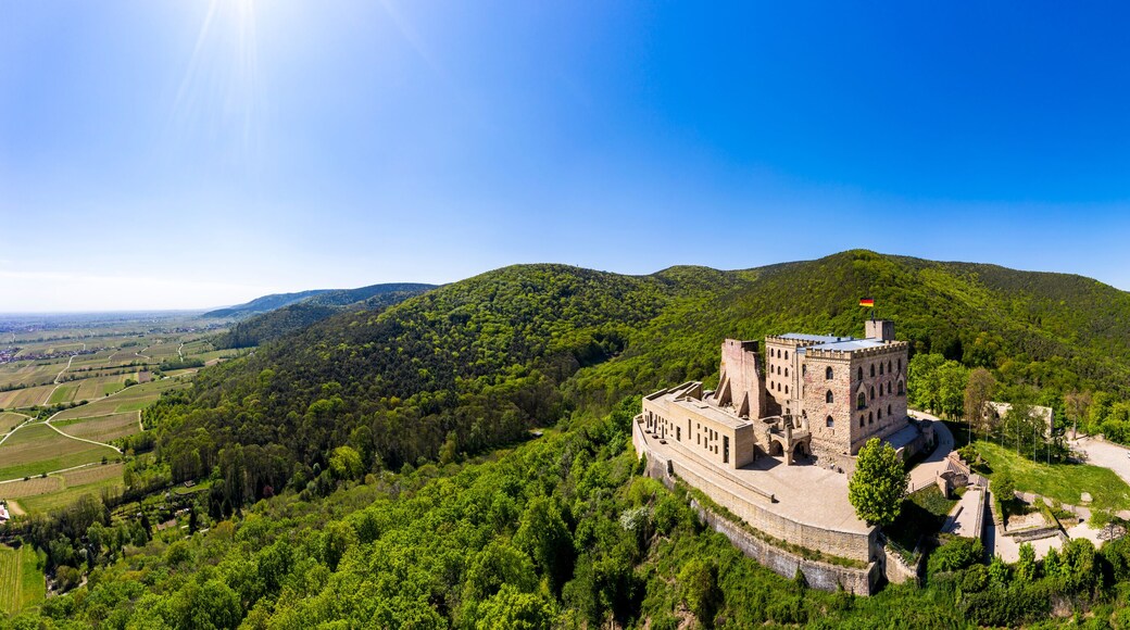 Neustadt-Gimmeldingen