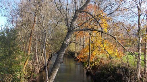 Ilm river in Flurstedt (Bad Sulza, Weimarer Land district, Thuringia)