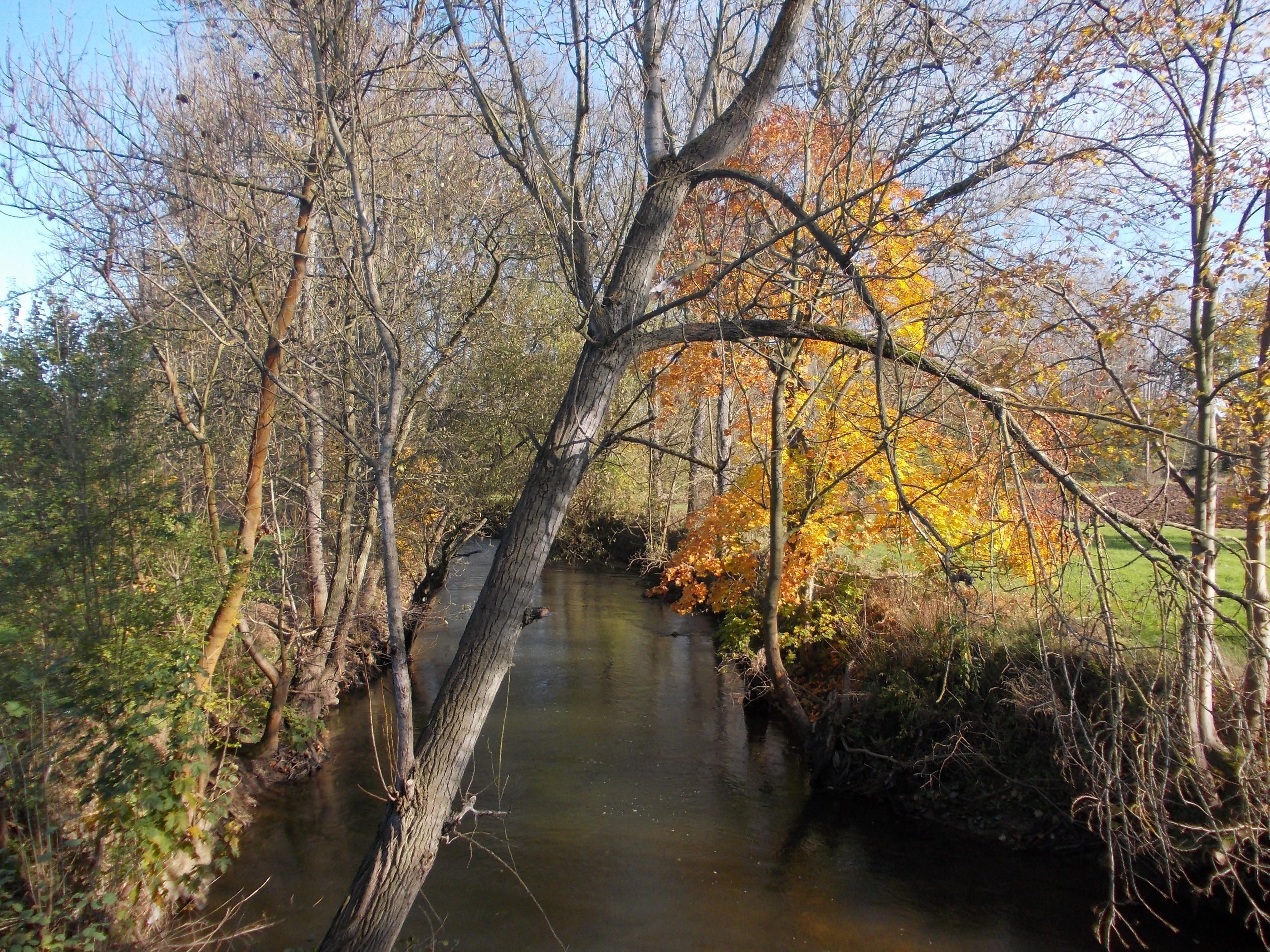 A river surrounded by trees with autumn foliage.