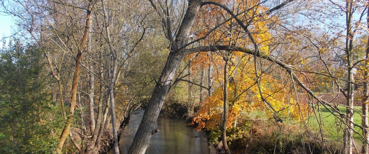 A river surrounded by trees with autumn foliage.