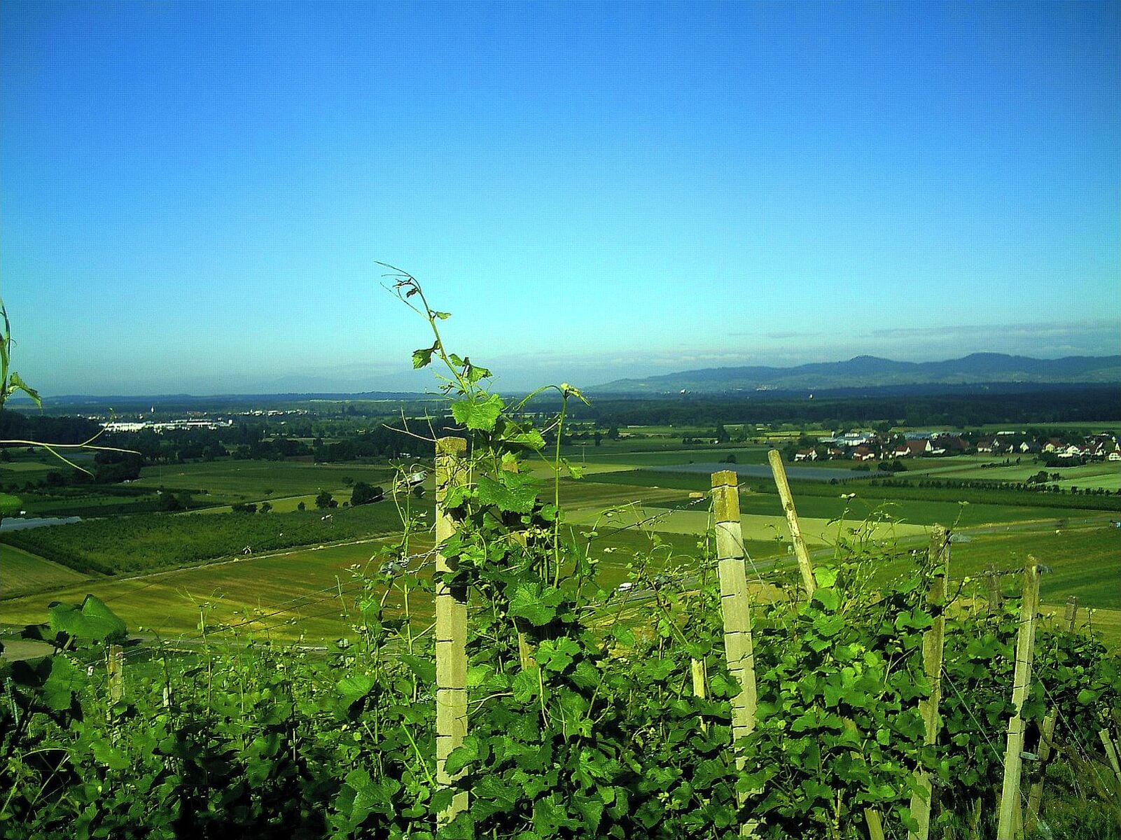 Panorama Buchholz Kaiserstuhl Horizont