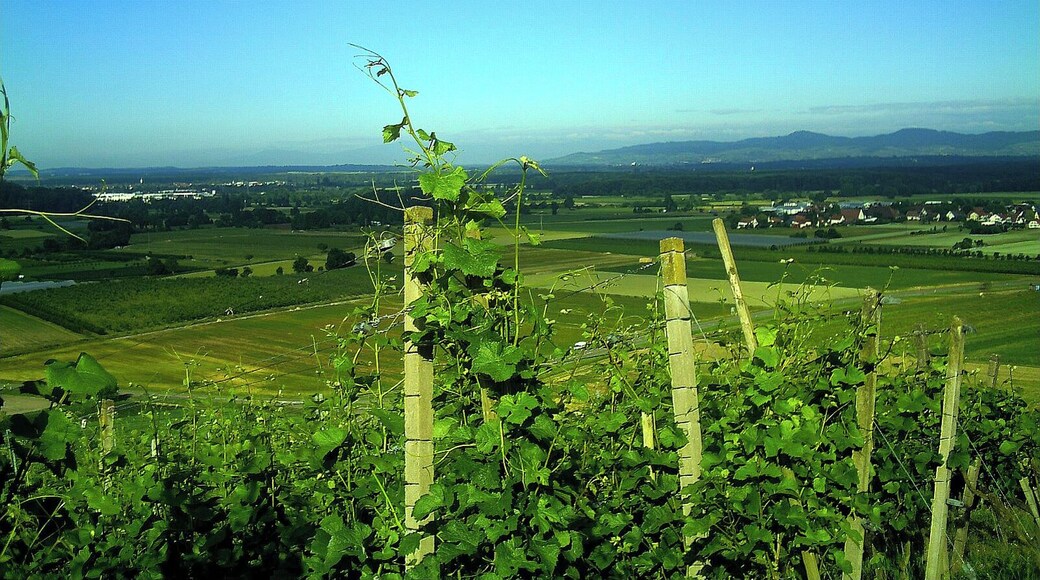 Panorama Buchholz Kaiserstuhl Horizont