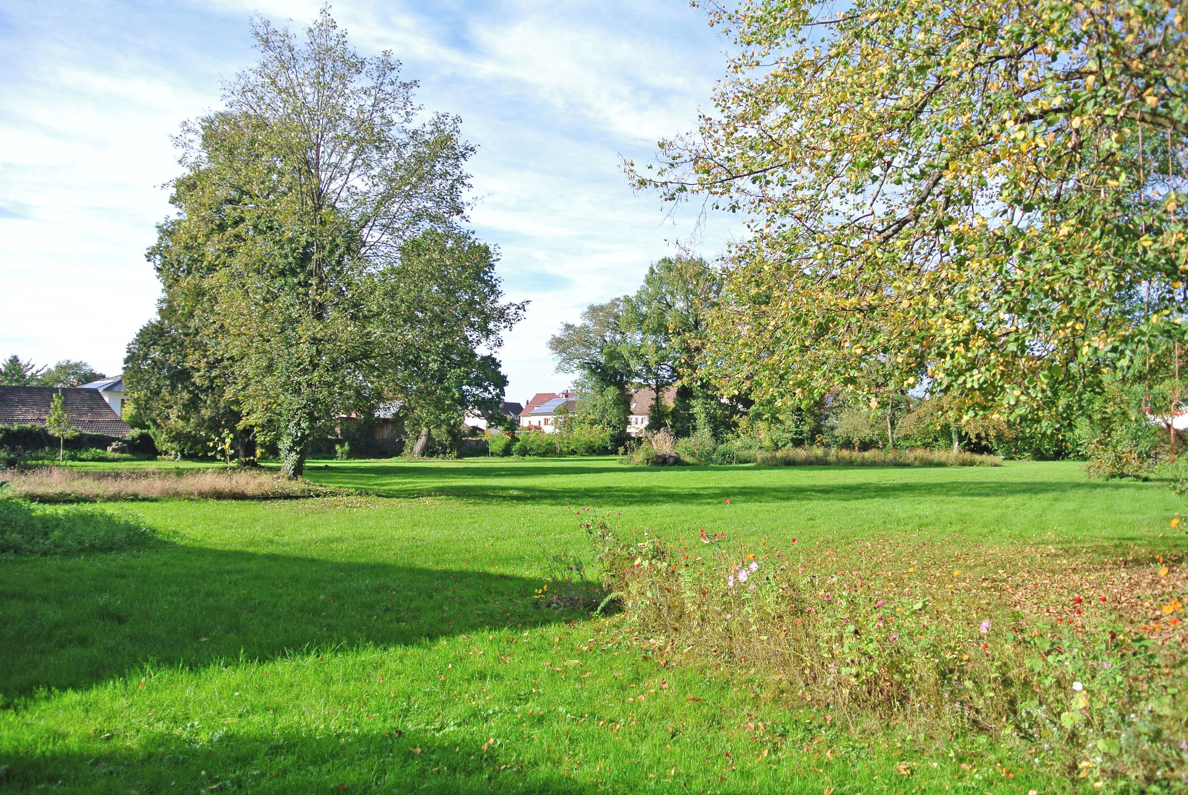 A grassy park with trees and houses in the background.