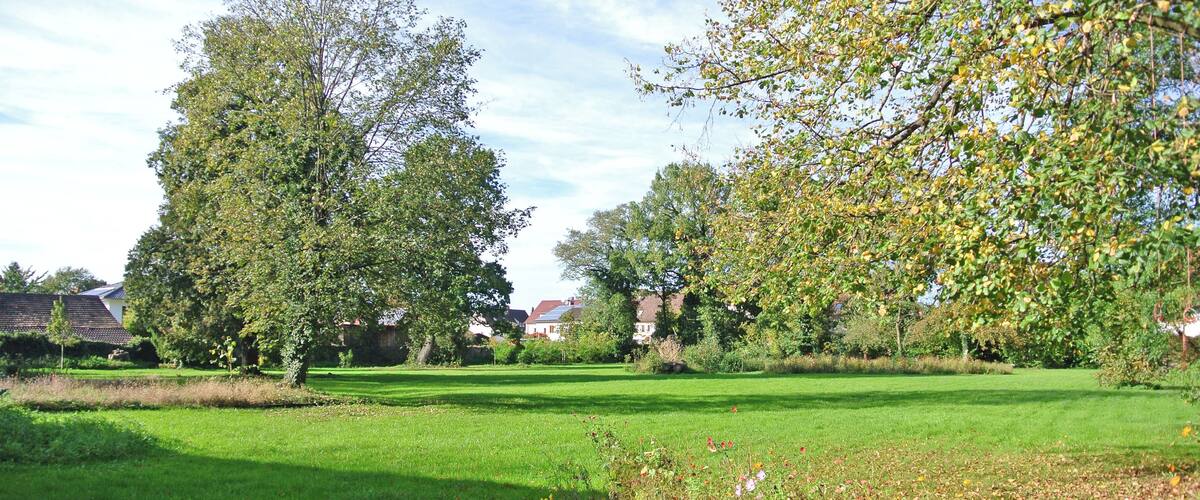 A grassy park with trees and houses in the background.